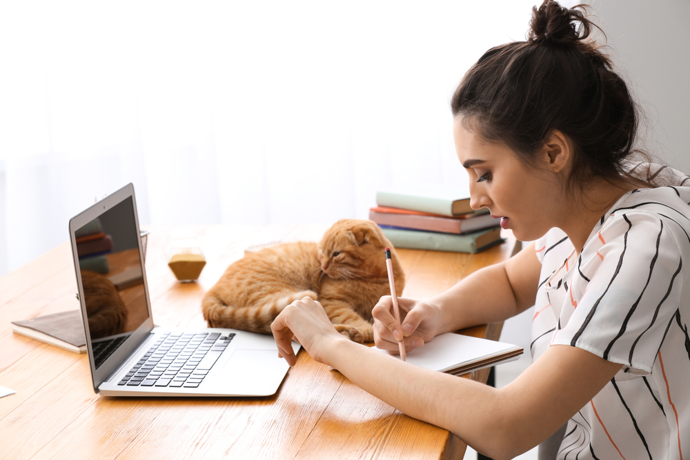 A young woman works on a laptop at a wooden table, writing notes about pet pain management, with a ginger cat sleeping beside her and books stacked nearby.