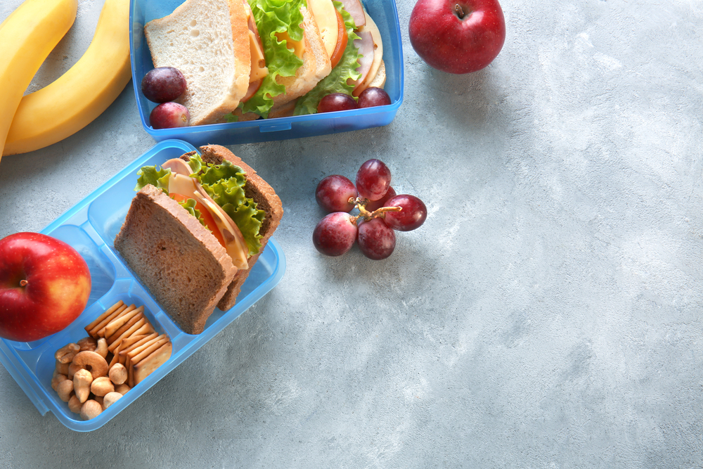 Healthy lunchbox containing a sandwich with lettuce and cheese, bananas, apples, grapes, and pretzels, arranged on a textured grey surface with space on the left for veterinary care Houston pamphlets.